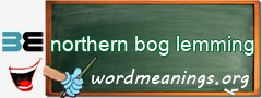 WordMeaning blackboard for northern bog lemming